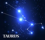 Constellation Deconstruction-Taurus8/31The most suitable constellation for trading crude oil in the afternoon-VT Markets977 / author:Xiao Lulu, it's me / PostsID:1725529