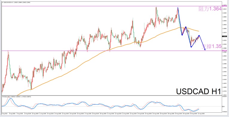 Constellation Deconstruction-Sagittarius8/31Evening is the best time for tradingUSDCADThe constellation of-VT Markets478 / author:Xiao Lulu, it's me / PostsID:1725552