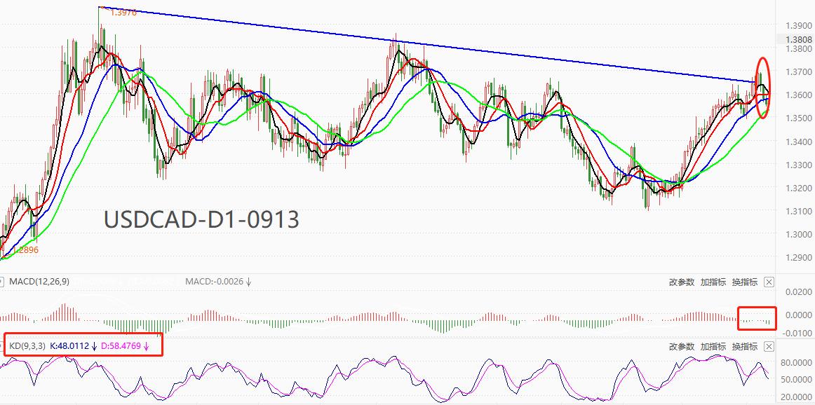 ATFXForeign exchange market: High oil prices boost commodity currencies, and the Canadian dollar has appreciated significantly for three consecutive days497 / author:atfx2019 / PostsID:1725844