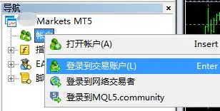 MT5怎么登录模拟交易账户？195 / author:Golden Storm / PostsID:1729772