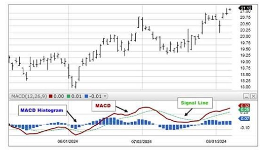 一次搞懂MACD：外汇新手也能掌握的买卖时机神器！457 / author:Ultima_Markets / PostsID:1731892