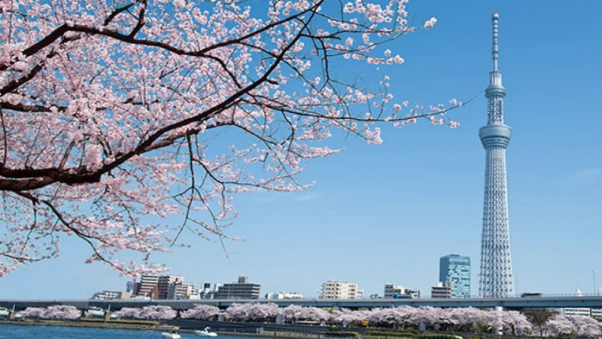 东京外汇交易全攻略：掌握亚洲盘黄金时间、特性与3大实战策略661 / author:Ultima_Markets / PostsID:1735350