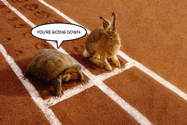 Why is trading discipline the key to maintaining profitability656 / author: / source: