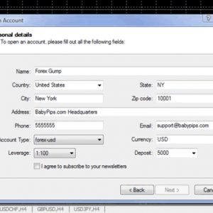 MetaTrader 4introduce