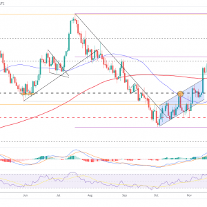 euro/Outlook on US dollar prices: far-reaching EU and US inflation data will guide price trends ...